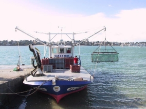 Oyster hydraulic dredging boat