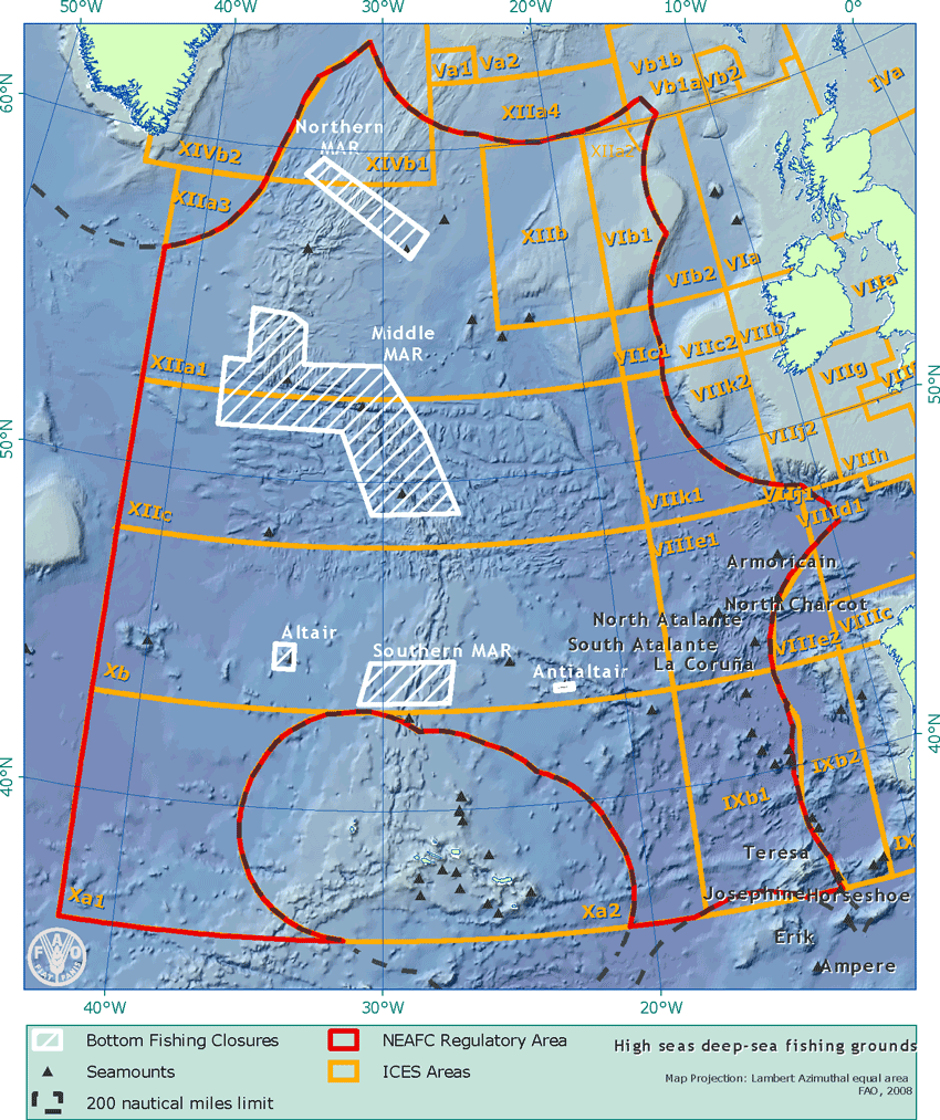 Firms Fishery Fact Sheet Northeast Atlantic Deep Sea Species Fisheries