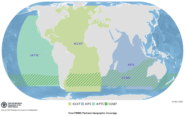 FIRMS Partnership - geographic coverage concerning Tuna regional fishery bodies (current partners: CCSBT, IATTC, ICCAT, IOTC)