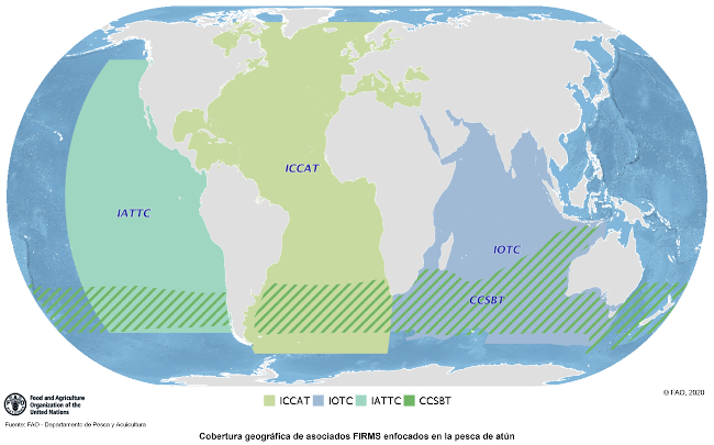 La asociación FIRMS: cobertura geográfica relativa a los órganos regionales enfocados en la pesca de atún (socios actuales: CCSBT, IATTC, ICCAT, IOTC)