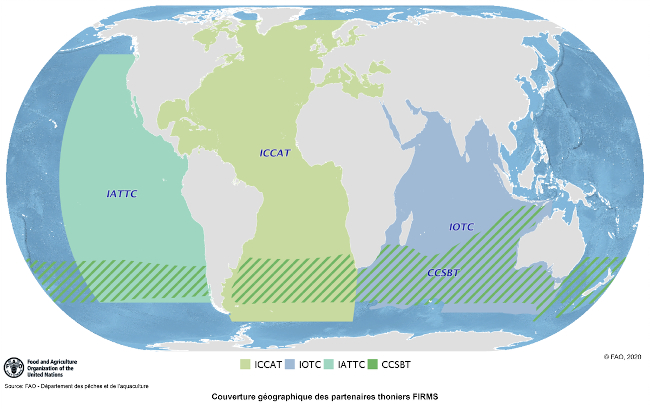 Le partenariat de FIRMS - couverture géographique des organismes régionaux des pêches thonière (partenaires actuels: CCSBT, IATTC, ICCAT, IOTC)